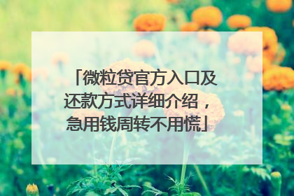 微粒贷官方入口及还款方式详细介绍，急用钱周转不用慌
