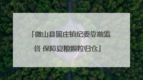 微山县留庄镇纪委靠前监督 保障夏粮颗粒归仓