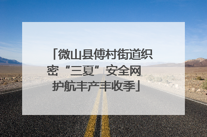 微山县傅村街道织密“三夏”安全网 护航丰产丰收季