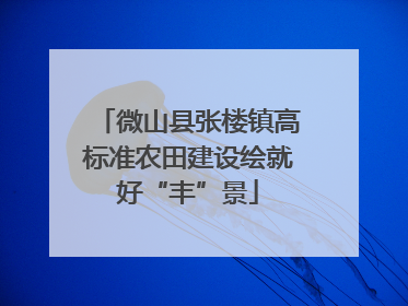 微山县张楼镇高标准农田建设绘就好“丰”景