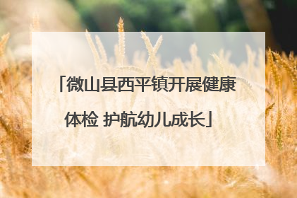 微山县西平镇开展健康体检 护航幼儿成长