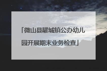 微山县驩城镇公办幼儿园开展期末业务检查