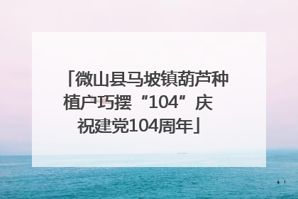 微山县马坡镇葫芦种植户巧摆“104”庆祝建党104周年