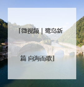微视频｜鹭岛新篇 向海而歌