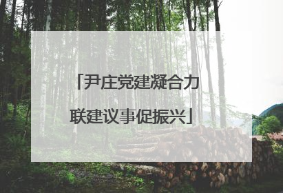 尹庄党建凝合力 联建议事促振兴