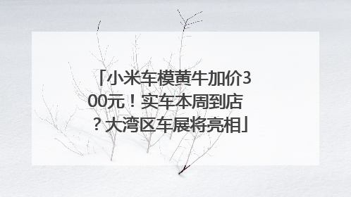 小米车模黄牛加价300元！实车本周到店？大湾区车展将亮相