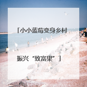 小小蓝莓变身乡村振兴“致富果”