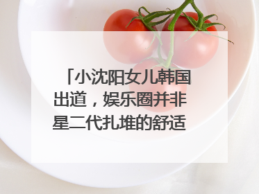 小沈阳女儿韩国出道，娱乐圈并非星二代扎堆的舒适区｜文艺评论