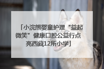 小浣熊婴童护理“益起微笑”健康口腔公益行点亮西藏12所小学
