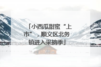 小西瓜甜蜜“上市”，顺义区北务镇进入采摘季