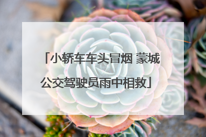 小轿车车头冒烟 蒙城公交驾驶员雨中相救
