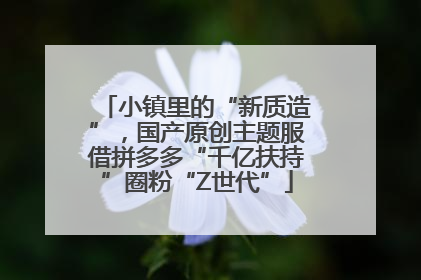 小镇里的“新质造”，国产原创主题服借拼多多“千亿扶持”圈粉“Z世代”