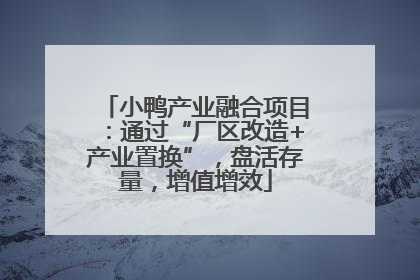 小鸭产业融合项目：通过“厂区改造+产业置换”，盘活存量，增值增效