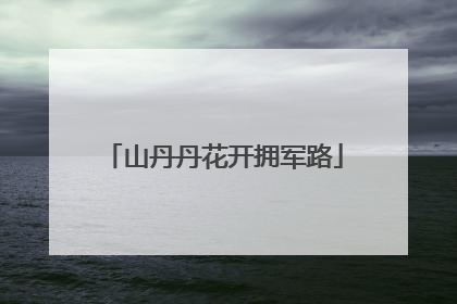 山丹丹花开拥军路
