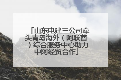 山东电建三公司牵头青岛海外（阿联酋）综合服务中心助力中阿经贸合作