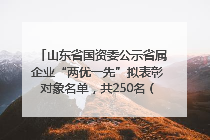 山东省国资委公示省属企业“两优一先”拟表彰对象名单，共250名（个）党员和党组织