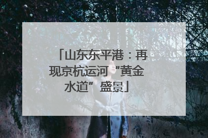 山东东平港：再现京杭运河“黄金水道”盛景