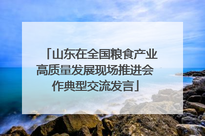 山东在全国粮食产业高质量发展现场推进会作典型交流发言