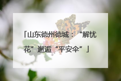 山东德州德城：“解忧花”邂逅“平安伞”