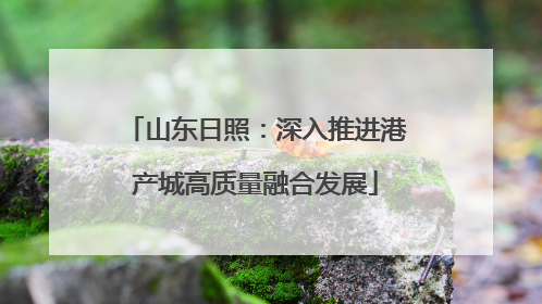 山东日照：深入推进港产城高质量融合发展