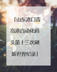 山东港口青岛港自动化码头第十三次刷新世界纪录