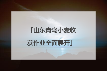 山东青岛小麦收获作业全面展开