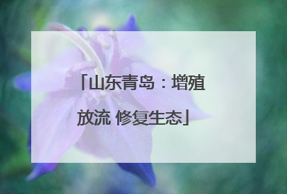 山东青岛：增殖放流 修复生态
