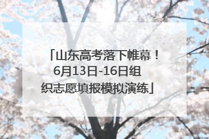 山东高考落下帷幕！6月13日-16日组织志愿填报模拟演练