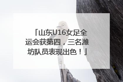 山东U16女足全运会获第四，三名潍坊队员表现出色！