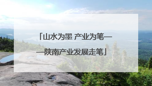 山水为墨 产业为笔——陕南产业发展走笔