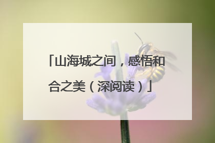 山海城之间，感悟和合之美（深阅读）