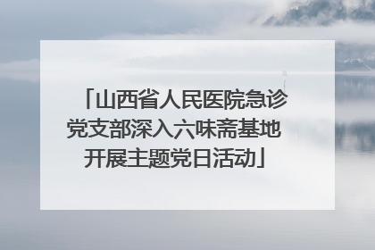 山西省人民医院急诊党支部深入六味斋基地开展主题党日活动