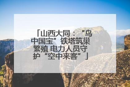 山西大同：“鸟中国宝”铁塔筑巢繁殖 电力人员守护“空中来客”