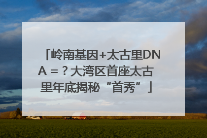 岭南基因+太古里DNA =？大湾区首座太古里年底揭秘“首秀”