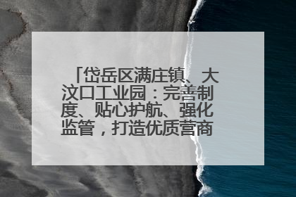 岱岳区满庄镇、大汶口工业园：完善制度、贴心护航、强化监管，打造优质营商“强磁场”