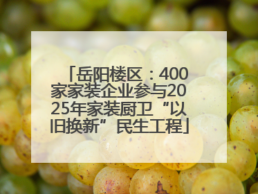 岳阳楼区：400家家装企业参与2025年家装厨卫“以旧换新”民生工程