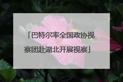 巴特尔率全国政协视察团赴湖北开展视察