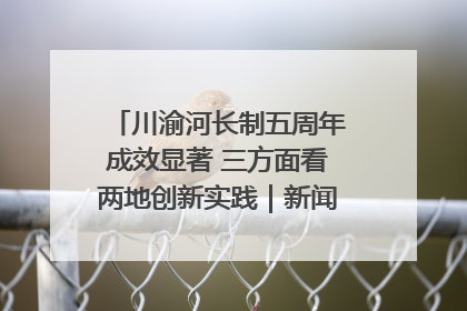 川渝河长制五周年成效显著 三方面看两地创新实践｜新闻发布最前线
