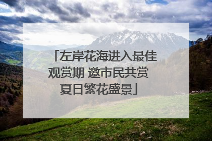 左岸花海进入最佳观赏期 邀市民共赏夏日繁花盛景