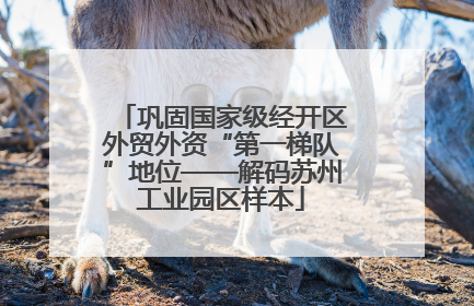 巩固国家级经开区外贸外资“第一梯队”地位——解码苏州工业园区样本