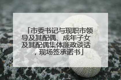市委书记与现职市领导及其配偶、成年子女及其配偶集体廉政谈话，现场签承诺书