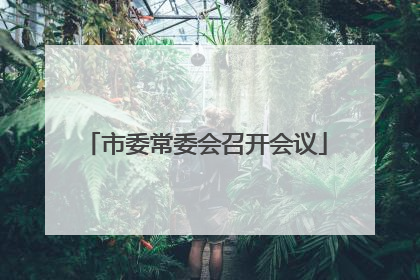 市委常委会召开会议