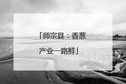 师宗县：香葱产业一路鲜