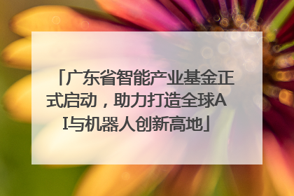 广东省智能产业基金正式启动，助力打造全球AI与机器人创新高地