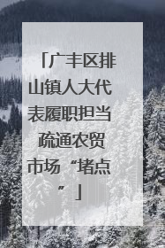 广丰区排山镇人大代表履职担当 疏通农贸市场“堵点”