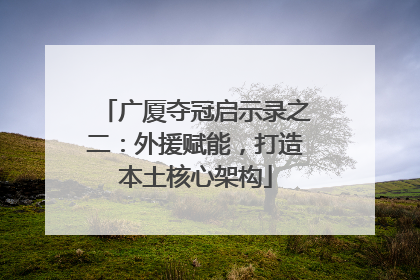 广厦夺冠启示录之二：外援赋能，打造本土核心架构