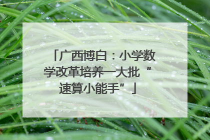 广西博白：小学数学改革培养一大批“速算小能手”