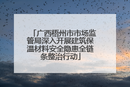 广西梧州市市场监管局深入开展建筑保温材料安全隐患全链条整治行动