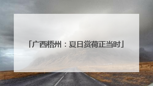 广西梧州：夏日赏荷正当时