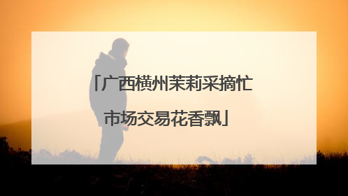 广西横州茉莉采摘忙 市场交易花香飘